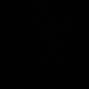 Meet your Posher, Perla